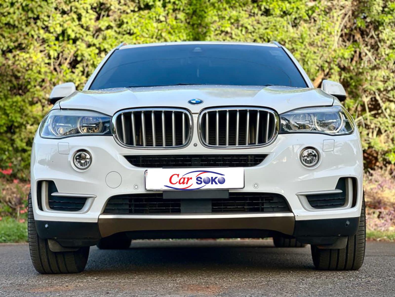 bmw-x5-2016-1376