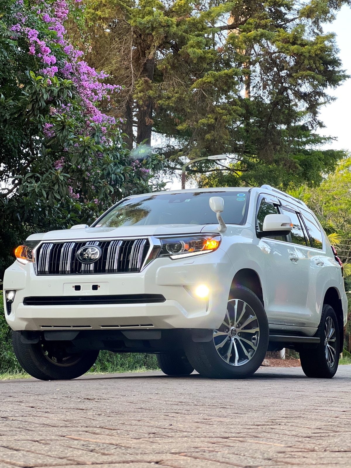 2017-toyota-Land Cruiser Prado-1147