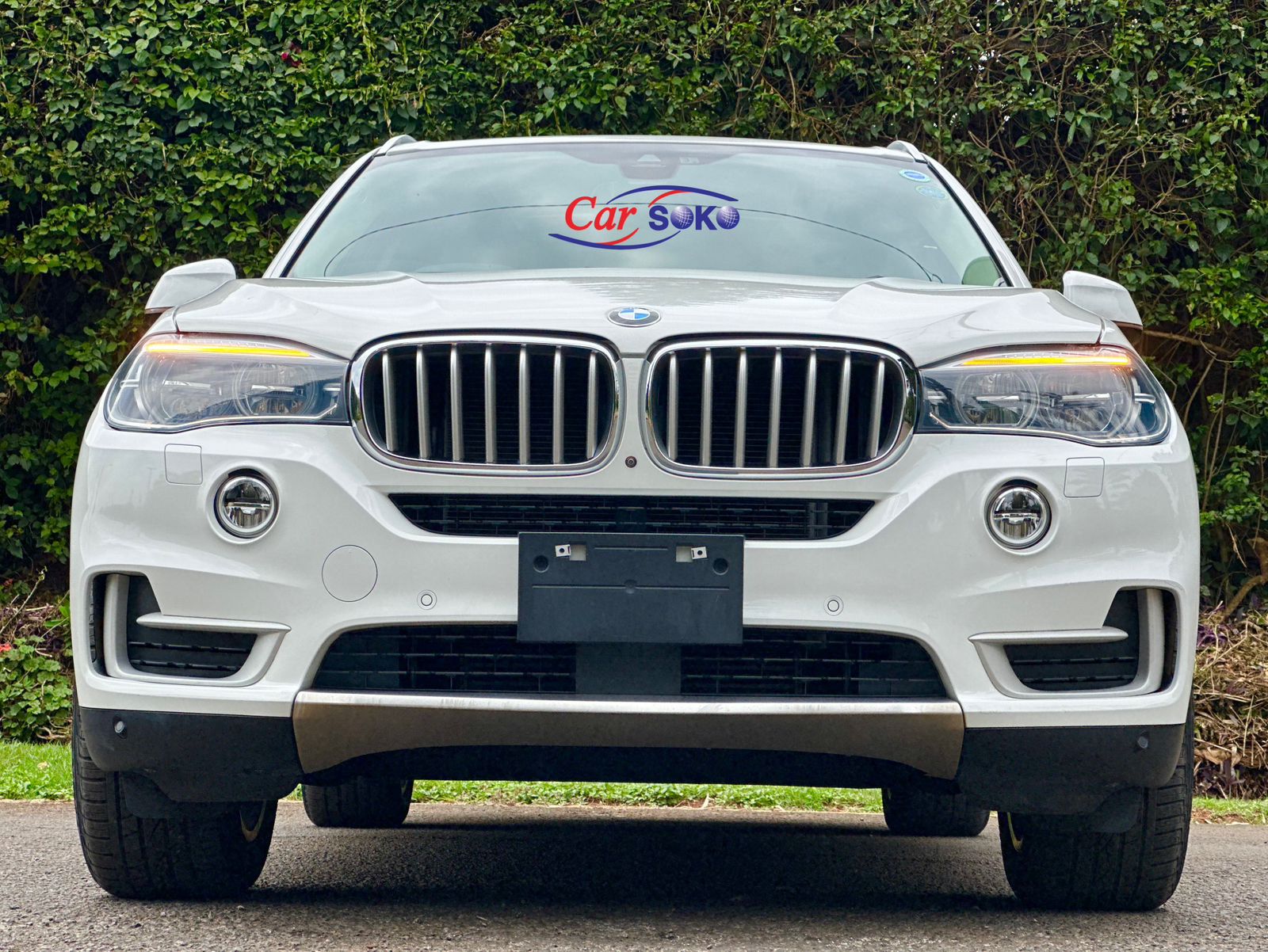 bmw-x5-2016-1283