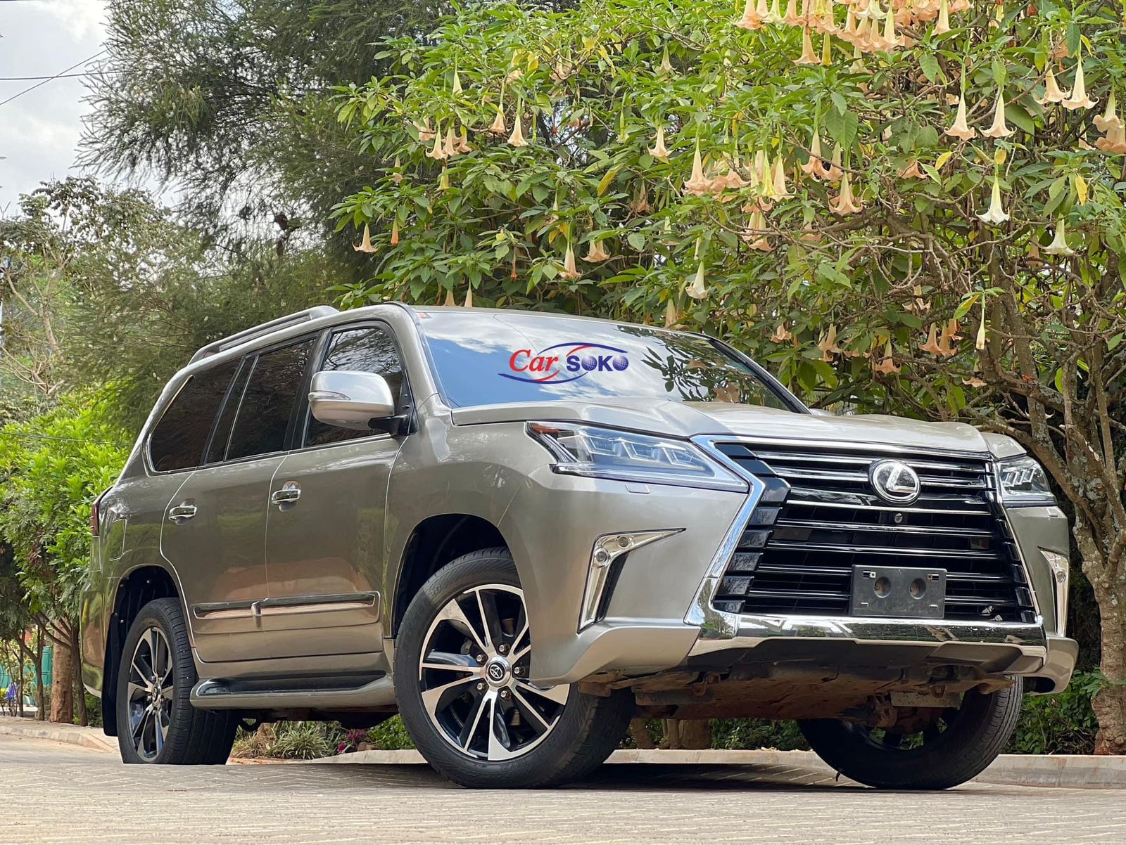 lexus-lx-2012-1321
