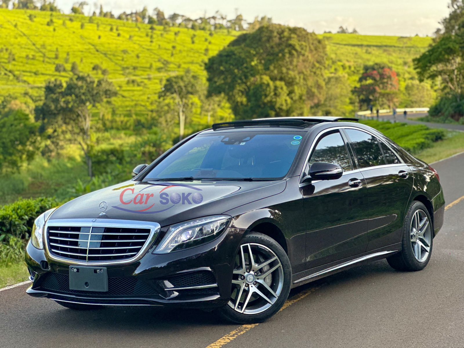 mercedes-benz-s300h-2016-1367