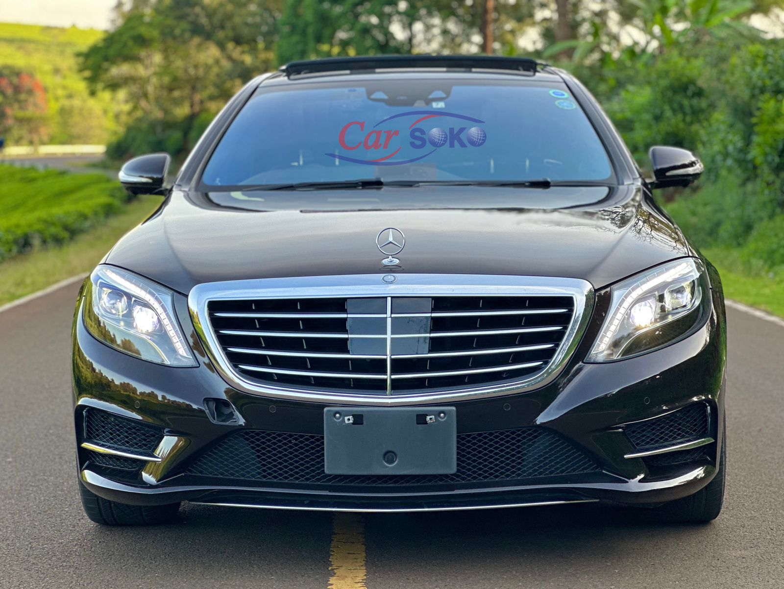 mercedes-benz-s300h-2016-1367