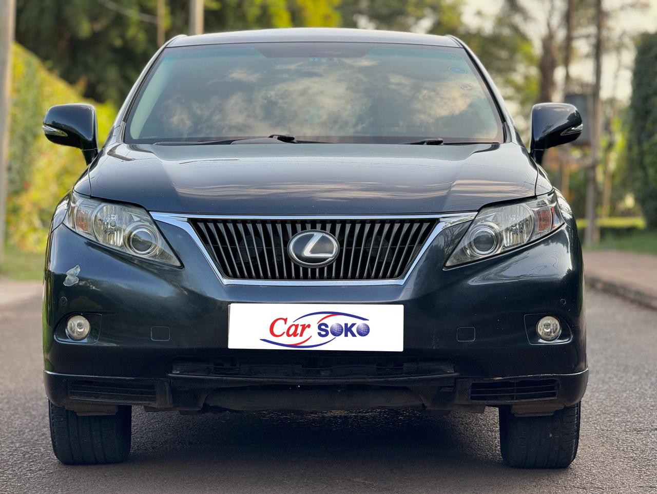 lexus-rx-2009-1413