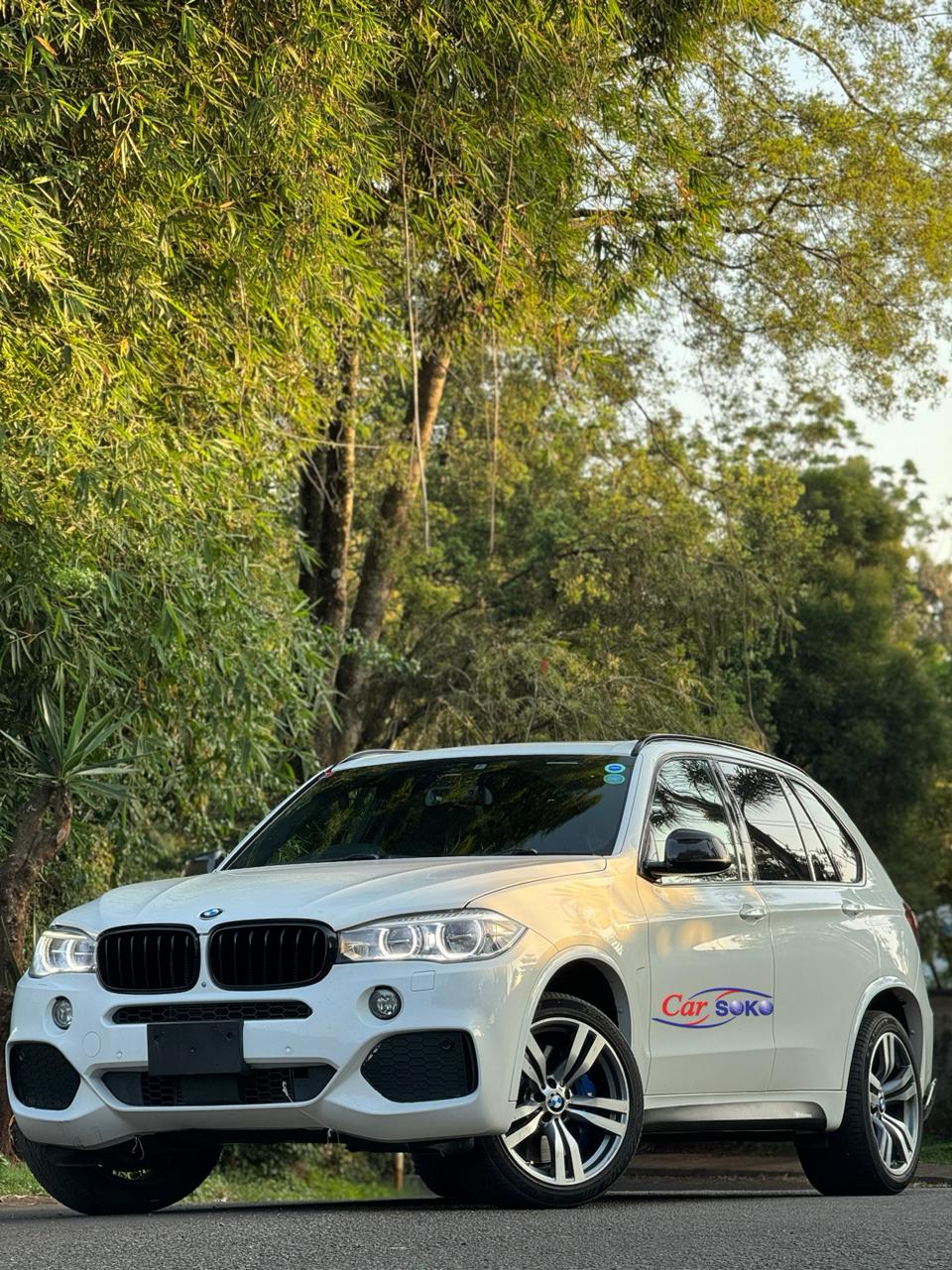 bmw-x5-2016-1418