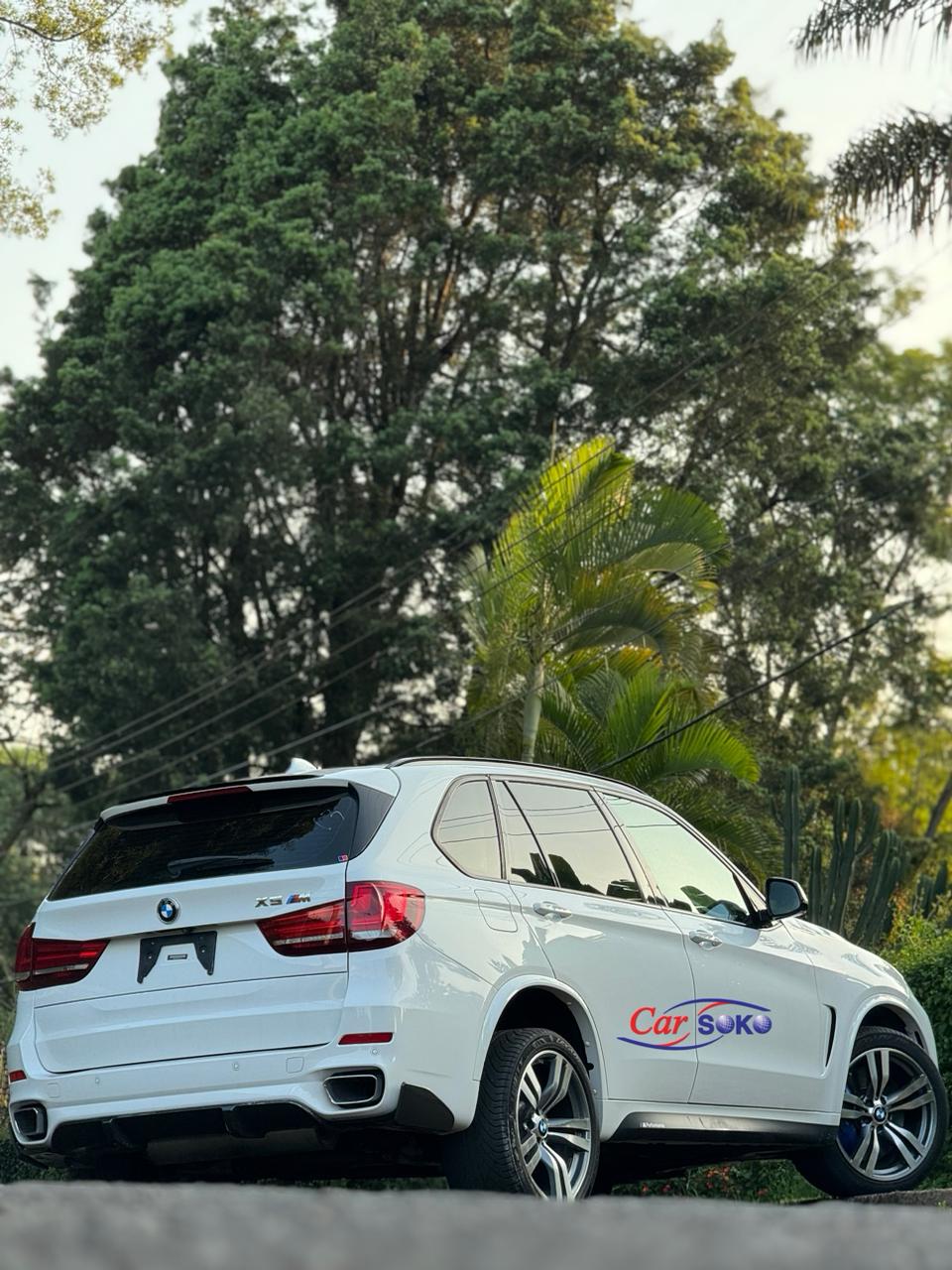 bmw-x5-2016-1418