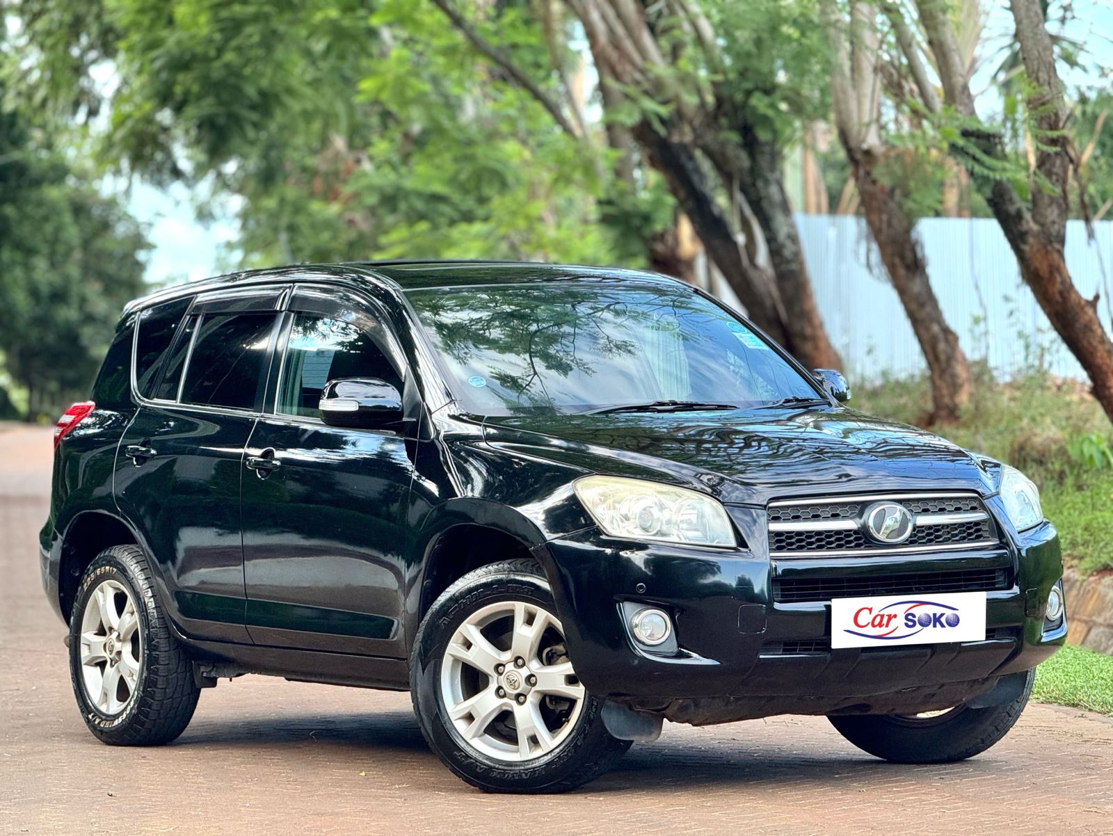 toyota-rav4-2009-1475