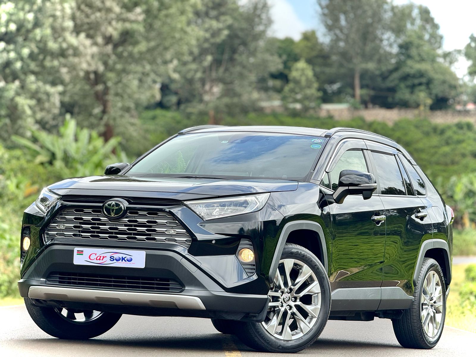 toyota-rav4-2019-1499
