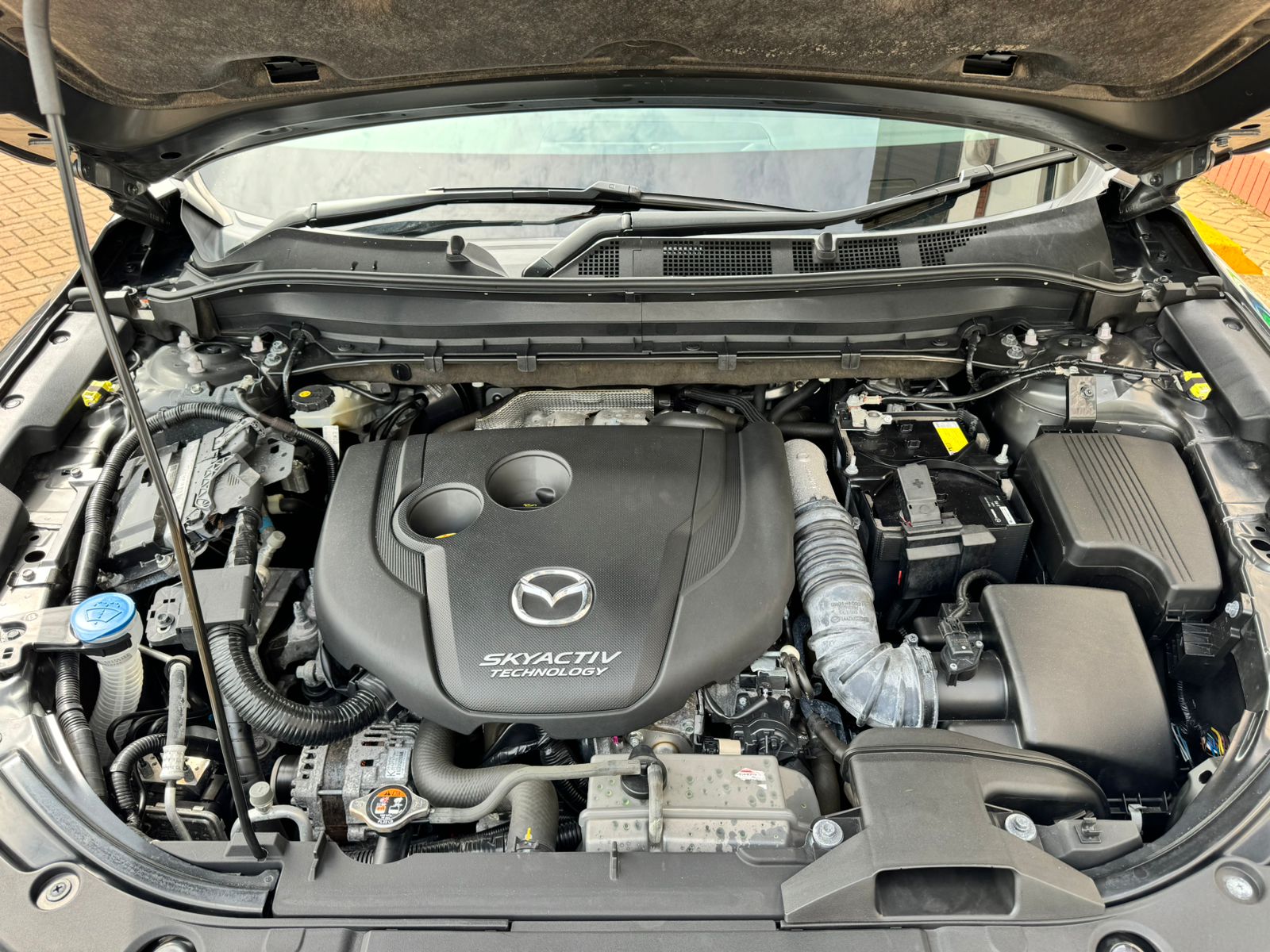 mazda-cx-8-2018-1570