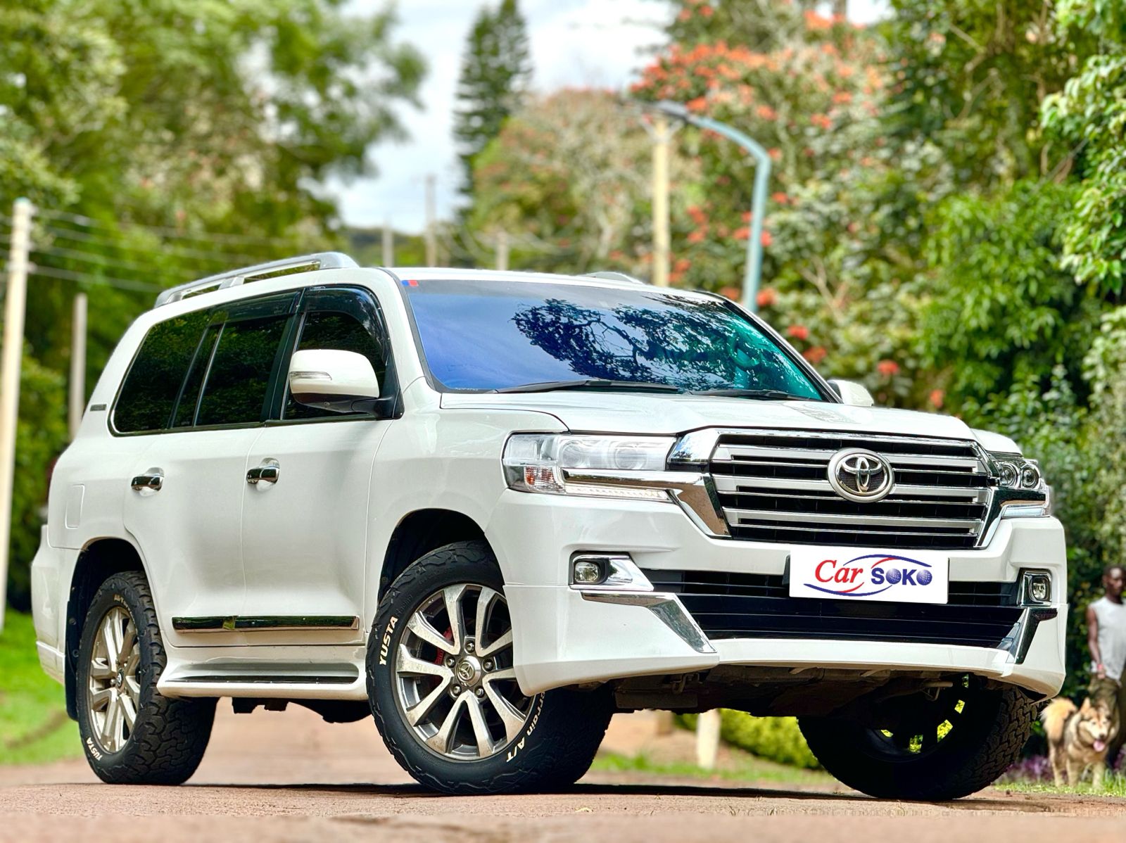toyota-land-cruiser-2009-1573