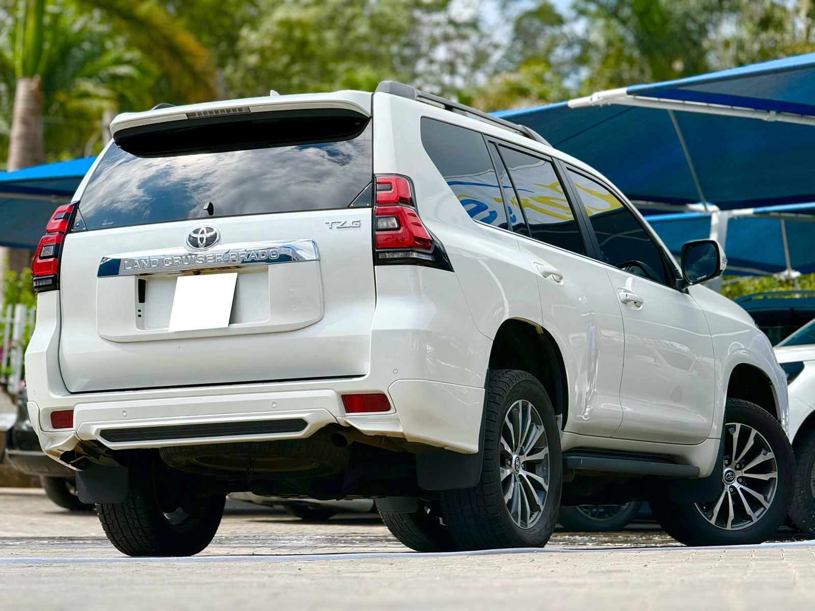 toyota-land-cruiser-prado-tzg-2017-1884